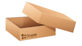 Grupak Empaque Rectangular con Tapa Removible